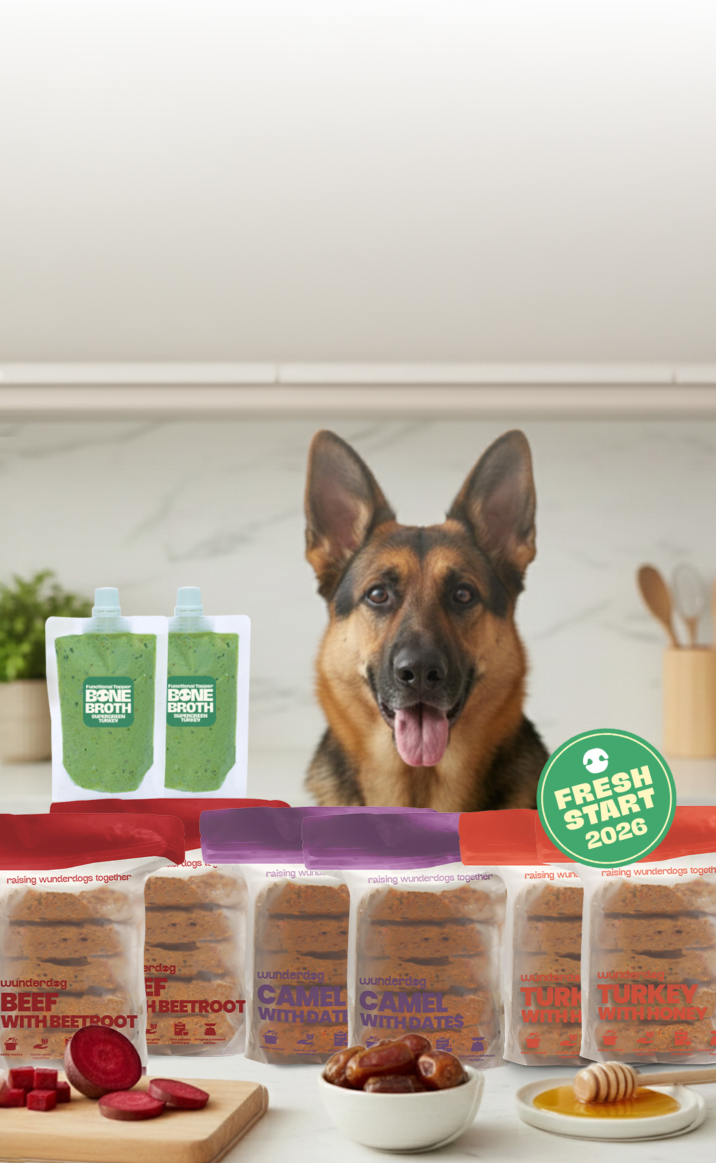 Cute small dogs inside a box