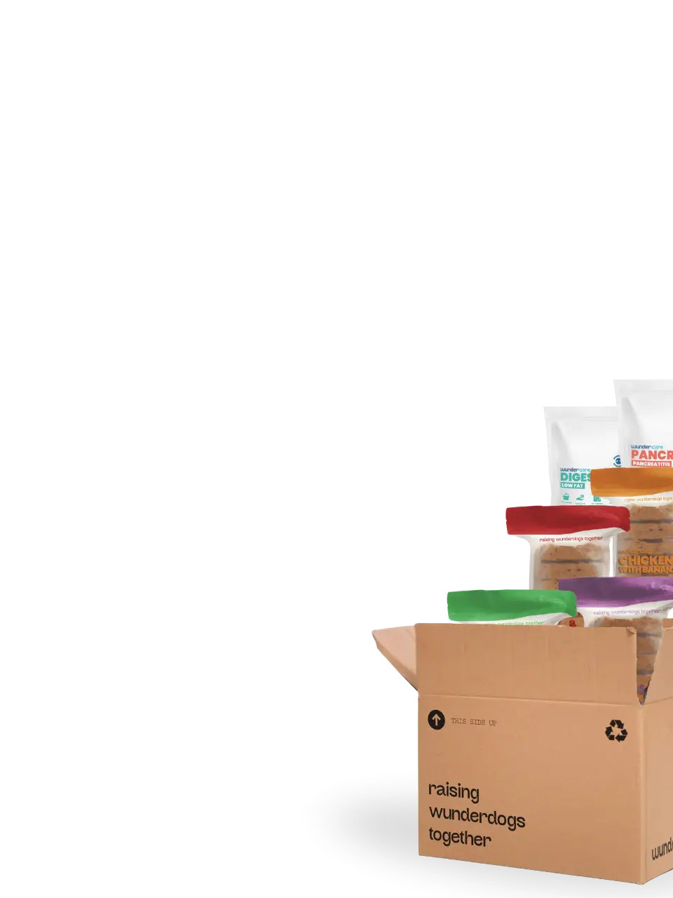 Open box filled with packaged natural dog food