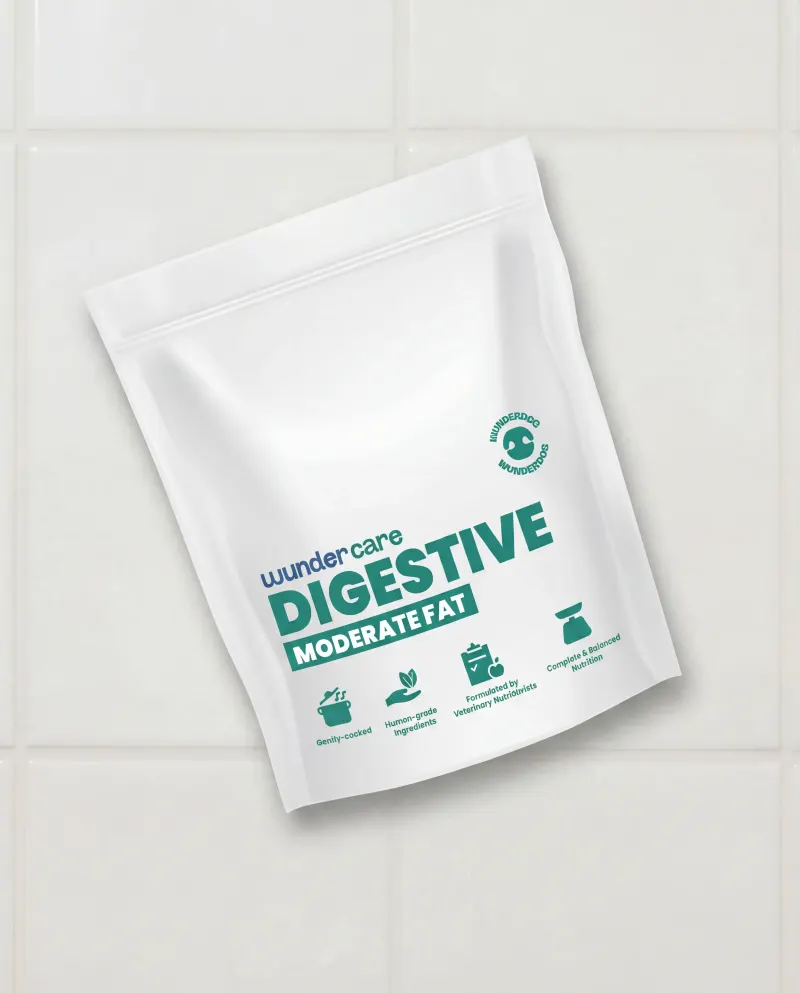 Wundercare + Digestive Moderate Fat