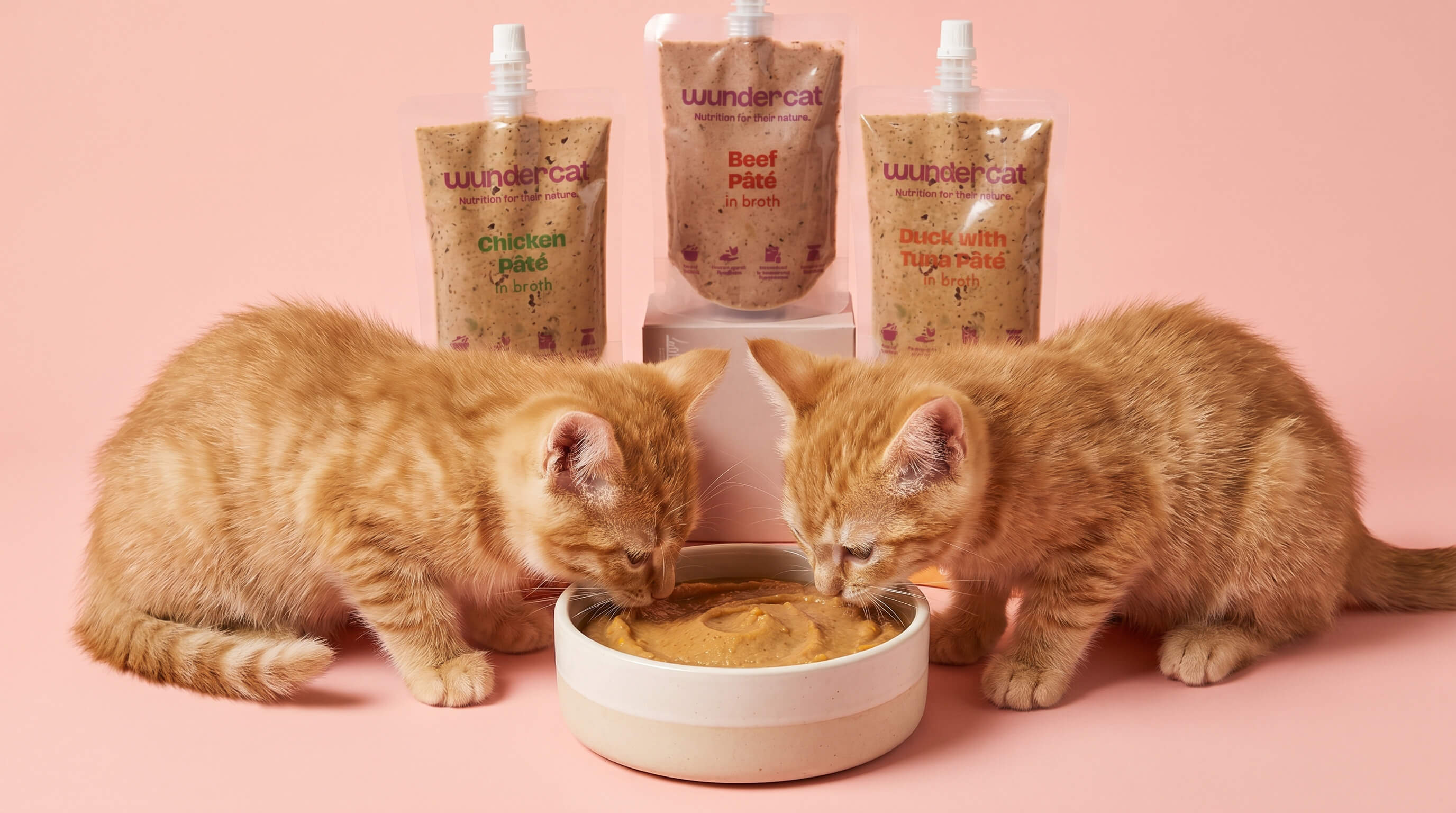 Two kittens eating Wundercat fresh food from a bowl