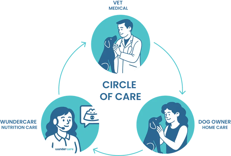Circle of Care — vet medical care, Wundercare nutrition care, and dog owner home care working together